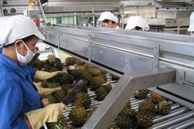 A comprehensive review of pineapple processing and its by .